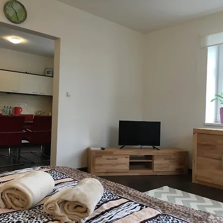 Rokycanska Apartment *