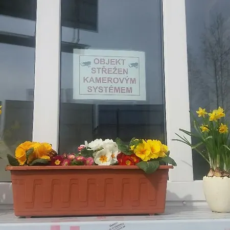 Apartment Rokycanska Pilsen